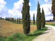 Tuscany Countryside